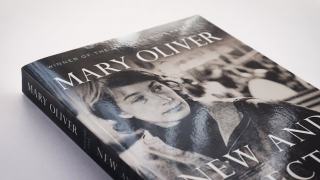 Contact Auteure.fr : écrire, proposer, collaborer